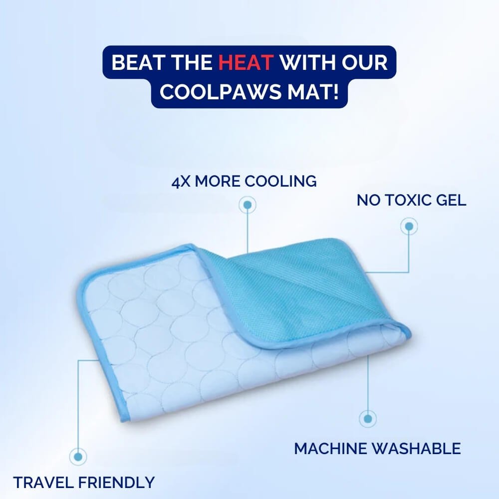 ChillPaws Kühlmatte für Hunde zur Nutzung im Sommer Innen und Außen