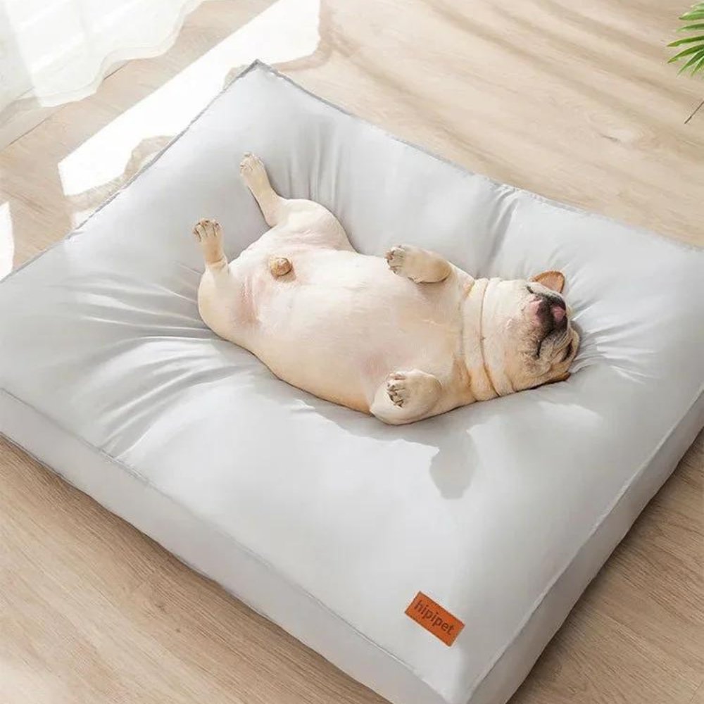 Cuccia Impermeabile e Confortevole RestNest per Cani