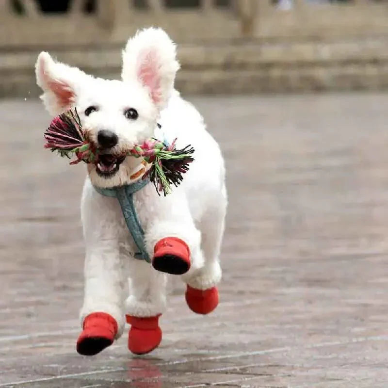 But Kerja Kalis Air AuroraPaw UltraGuard Untuk Tapak Kaki Anjing