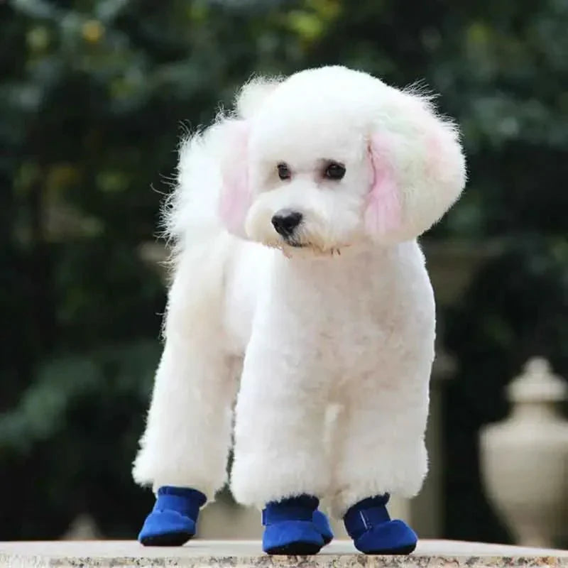 But Kerja Kalis Air AuroraPaw UltraGuard Untuk Tapak Kaki Anjing