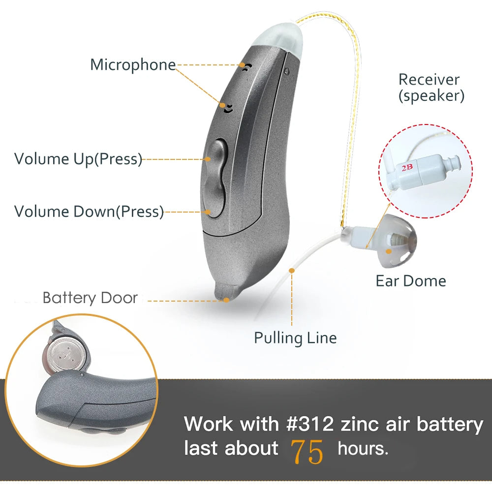 Gizli Uygulama Kontrollü Bluetooth Kulak Arkası İşitme Cihazları