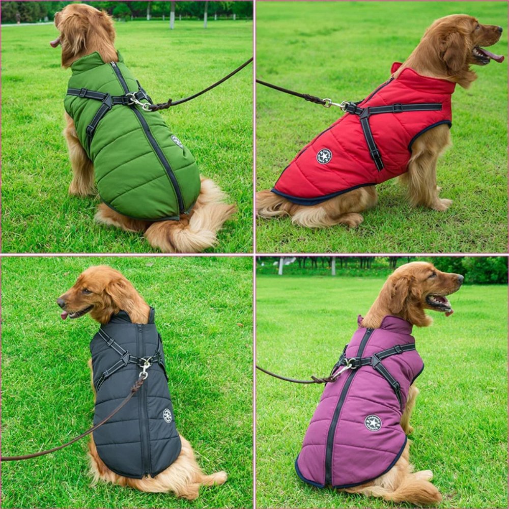AquaPup wasserdichter Hundemantel für regnerische Tage und kaltes Wetter