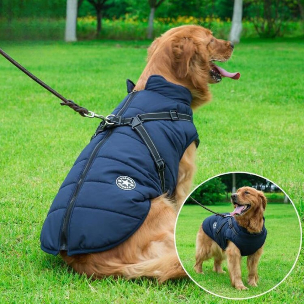 AquaPup wasserdichter Hundemantel für regnerische Tage und kaltes Wetter