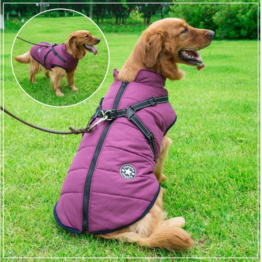 AquaPup wasserdichter Hundemantel für regnerische Tage und kaltes Wetter