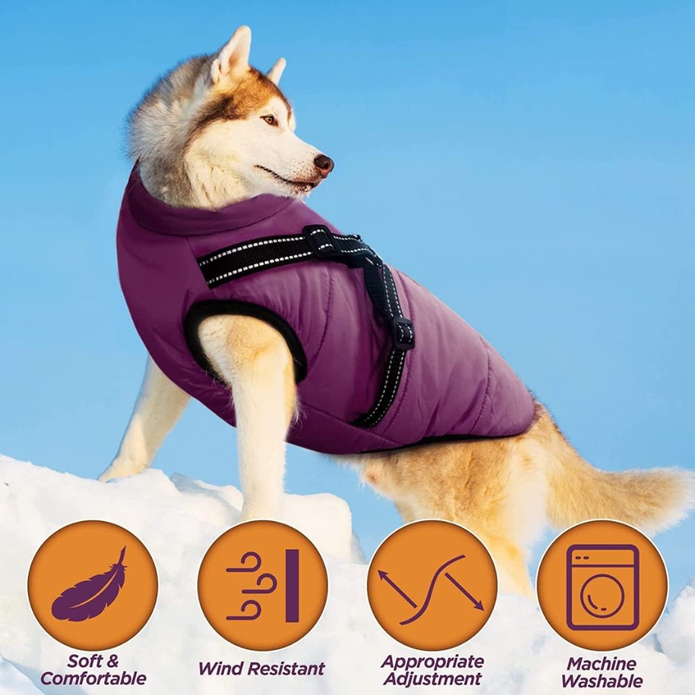 AquaPup wasserdichter Hundemantel für regnerische Tage und kaltes Wetter