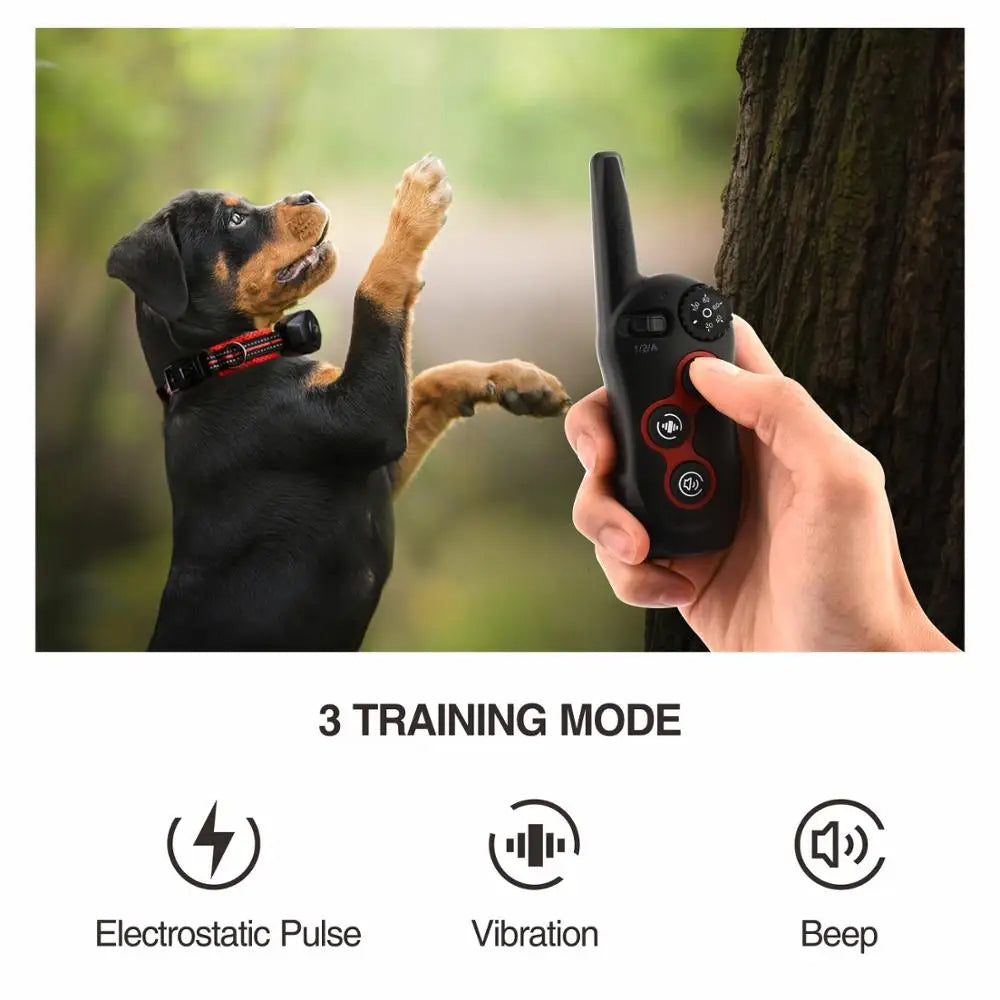 Collare per addestramento cani e collare antiabbaio due in uno