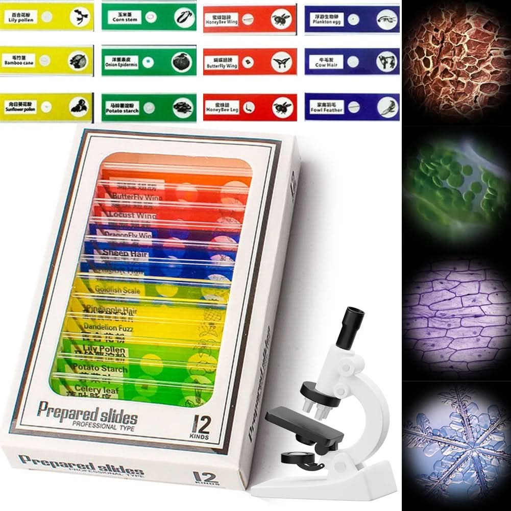 مجهر محمول للأطفال من QuestScope بتكبير 60x-120x للاستكشاف