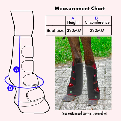 2 pièces de thérapie par lumière infrarouge rouge pour jambe de cheval