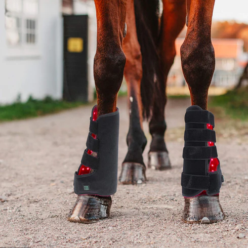 2 pièces de thérapie par lumière infrarouge rouge pour jambe de cheval
