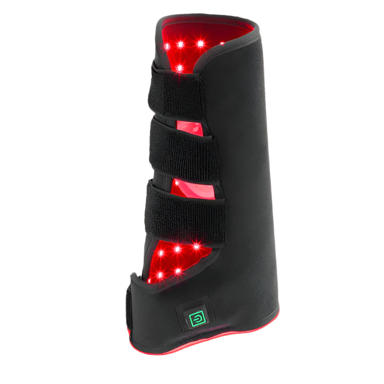 2 pièces de thérapie par lumière infrarouge rouge pour jambe de cheval