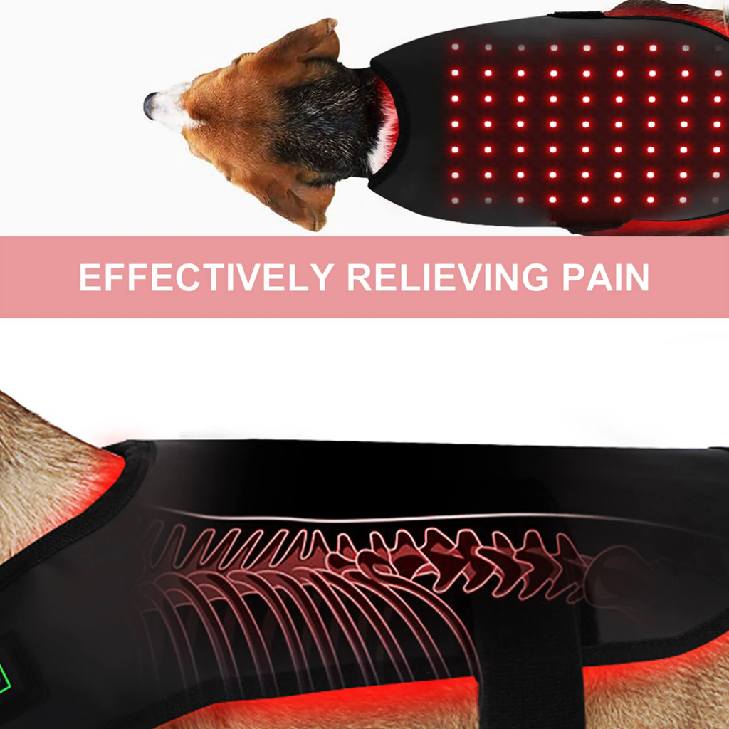 家用红外线光疗仪，适用于犬猫