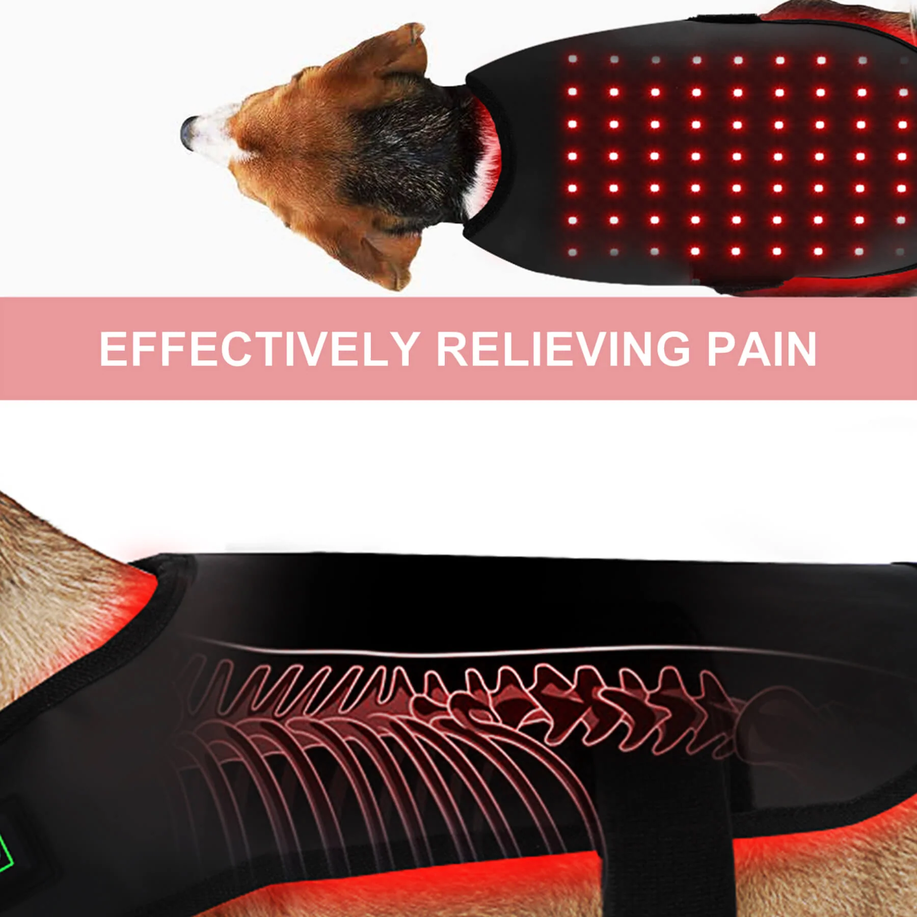 家用红外线光疗仪，适用于犬猫