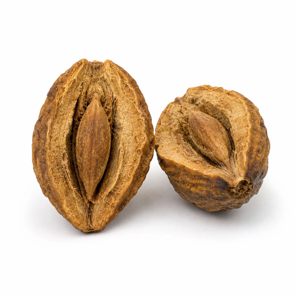 Two dried haritaki fruits on a white background