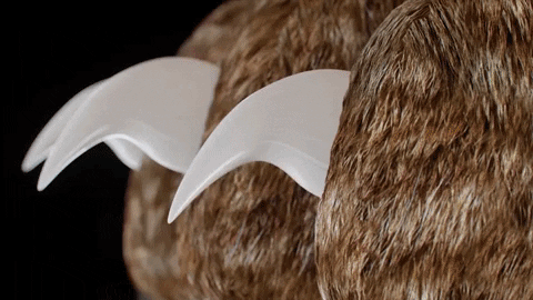 MAX - Legjobb kutyakörömvágók gyors érzékelőkkel