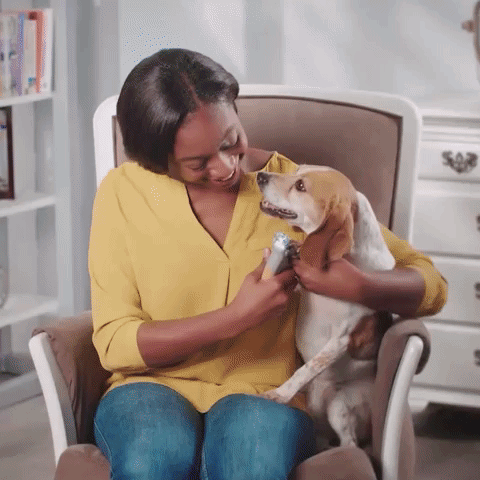 MAX - Legjobb kutyakörömvágók gyors érzékelőkkel