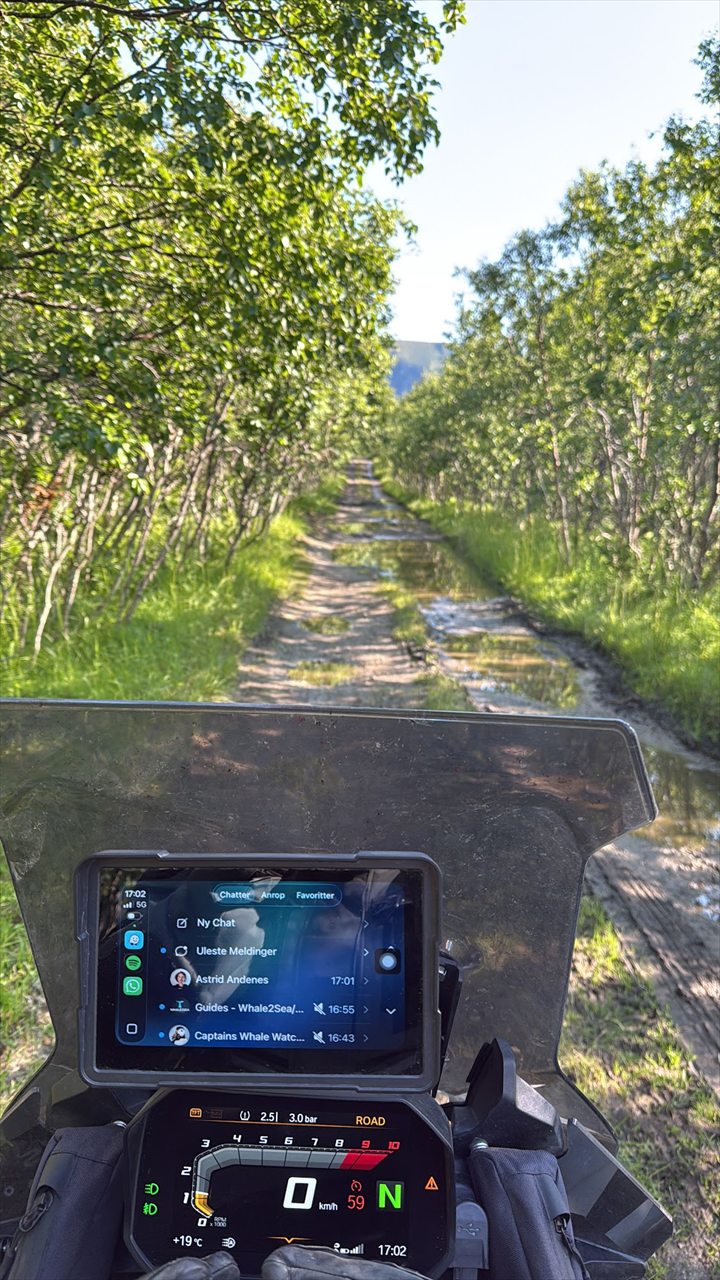 Display mounted on a motorcycle on a forest trail