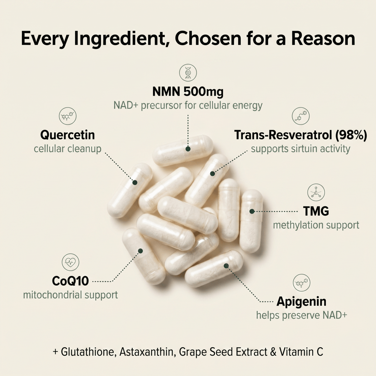 Capsule NMN Complex – 500 mg di NMN per dose con resveratrolo, TMG e CoQ10