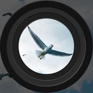 Binokular Penglihatan Malam Jarak Jauh Untuk Penggunaan Luar