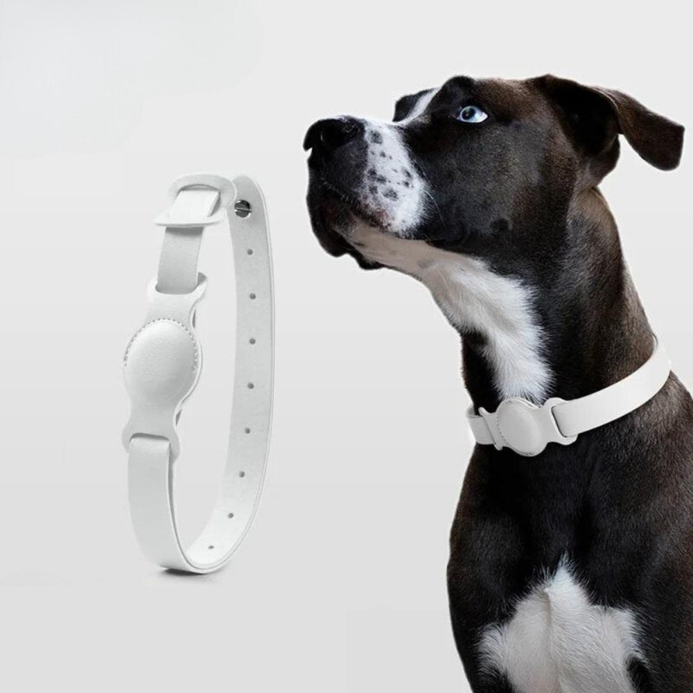 AuroraLeather AirTag Hundehalsband mit Premium-Stil und sicherer Ortung