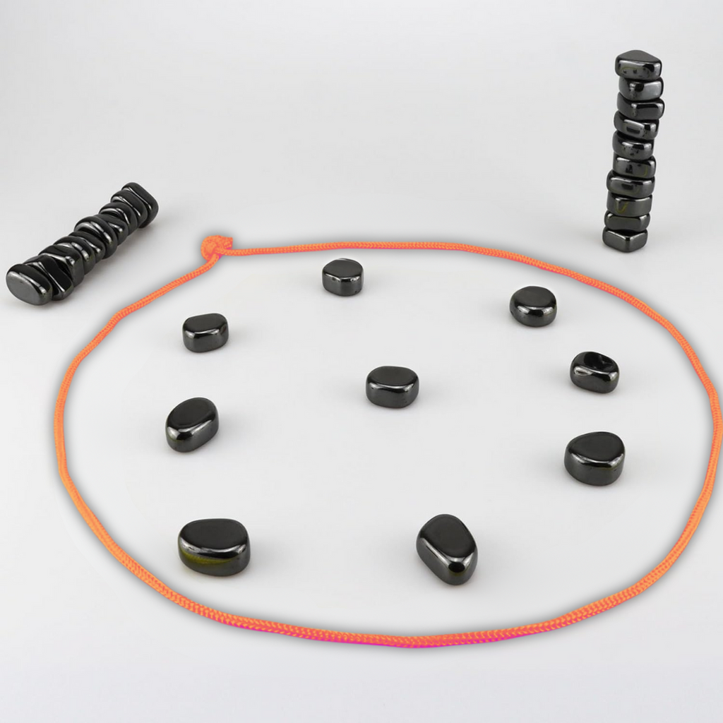AeroMove Magnetisk Reisesjakksett for Smart Underholdning CheckMate