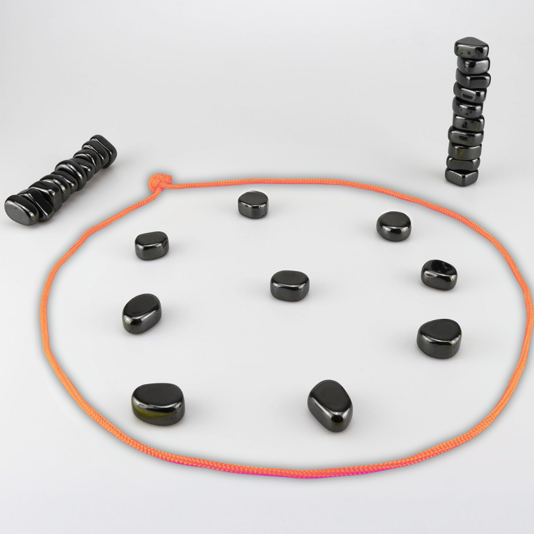 AeroMove Magnetisk Reisesjakksett for Smart Underholdning CheckMate
