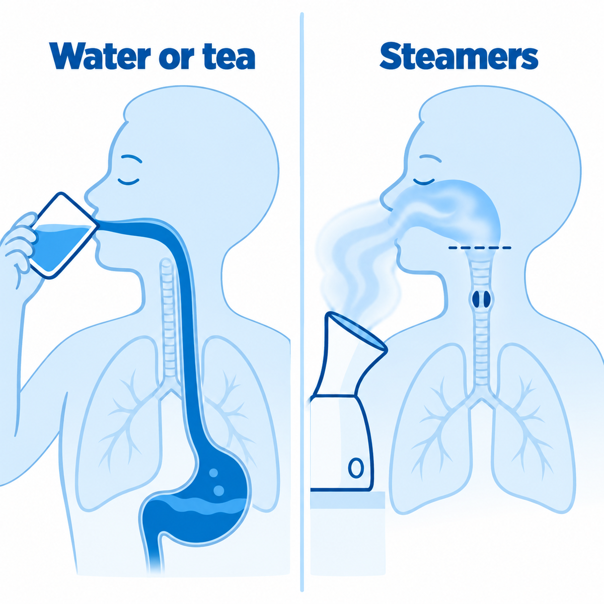 Illustration comparing drinking water or tea with using a steamer