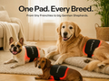 Red Light Pad for Dogs – 660/850 nm, Cordless, Rechargeable, Auto Timer