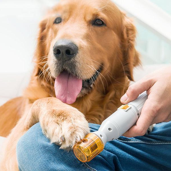 Tagliaunghie Premium Indolore per Animali Domestici - Cani e Gatti di Tutte le Taglie