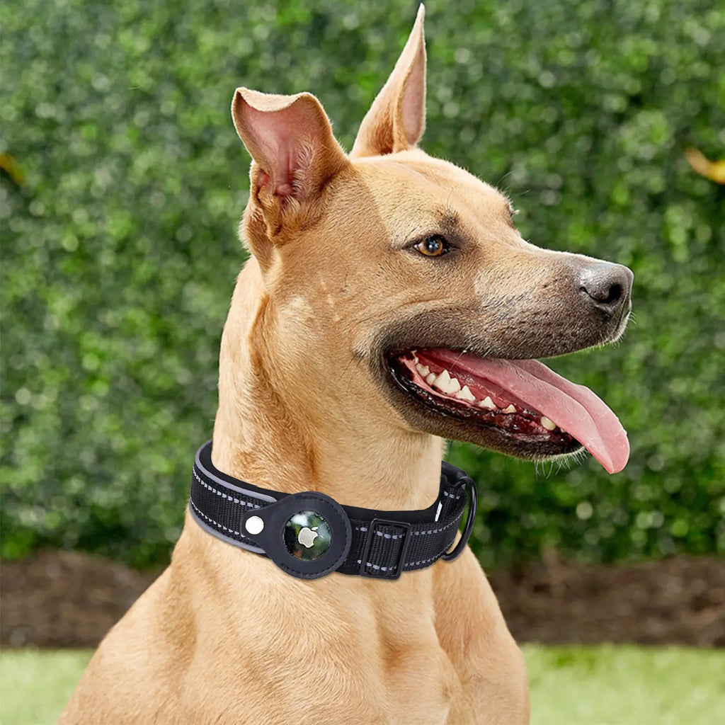 Collier pour chien Airtag