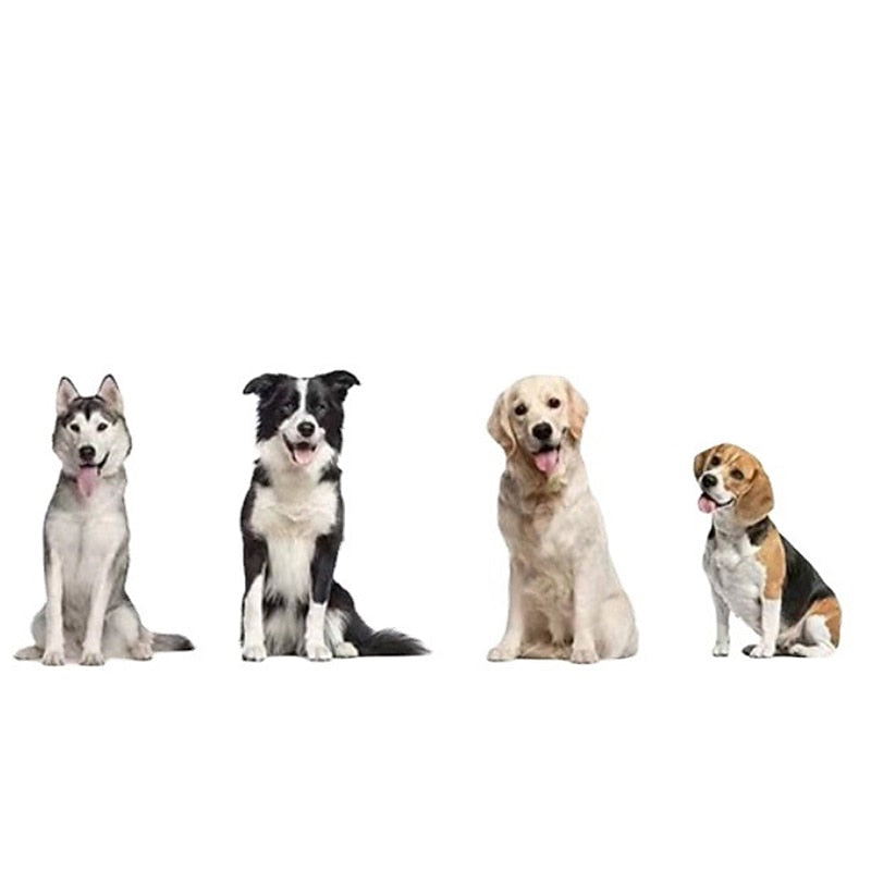 Hochwertiges Hundetrainingshalsband mit Fernbedienung – sichere und wirksame Trainingshilfe für Haustiere
