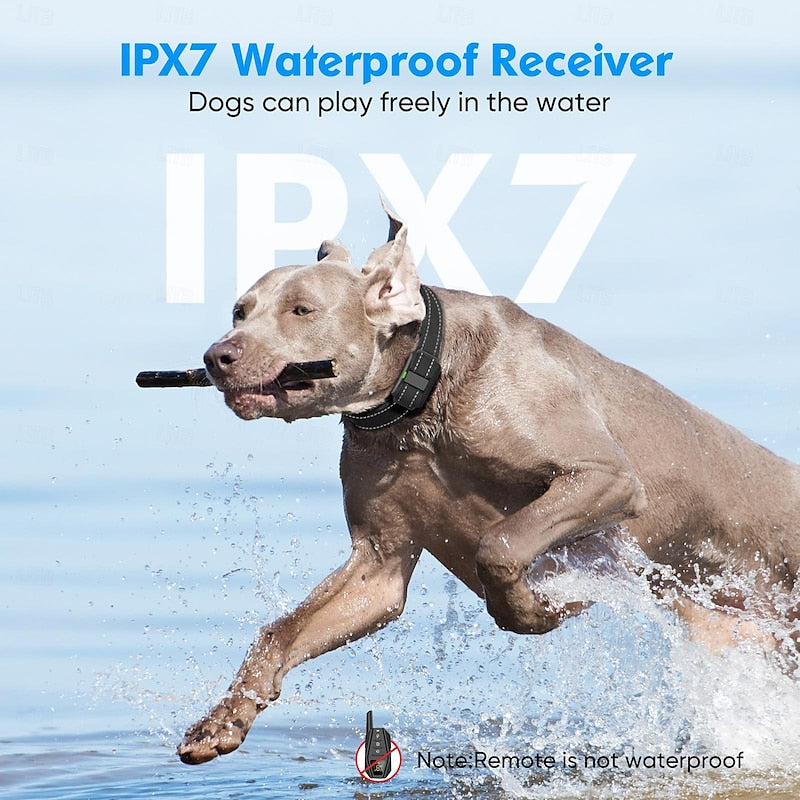 Fejlett kutyakiképző nyakörv távirányítóval