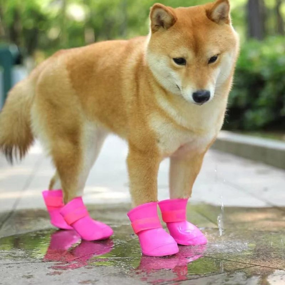 TrailGuard wasserdichte Hundeschuhe für nasses Wetter und Schlamm
