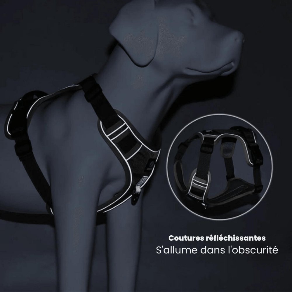 Imbracatura TrailMate Antitrazione per Cani per Passeggiate Quotidiane Tranquille