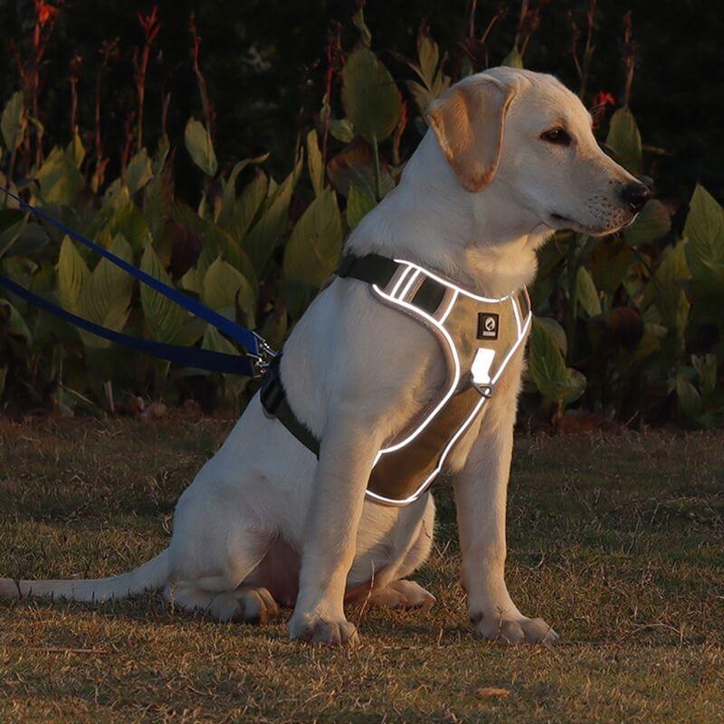Imbracatura TrailMate Antitrazione per Cani per Passeggiate Quotidiane Tranquille