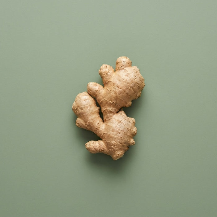 Fresh ginger root on a green background