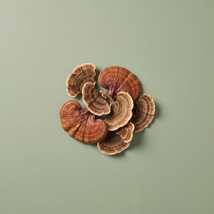 Dried mushroom slices on a green background