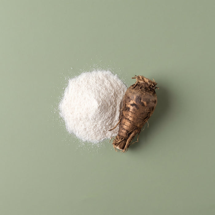 White powder and chicory root representing the probiotic and prebiotic blend