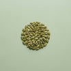 Pumpkin seeds on a green background
