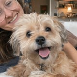 Fluffy terrier cuddling with its owner