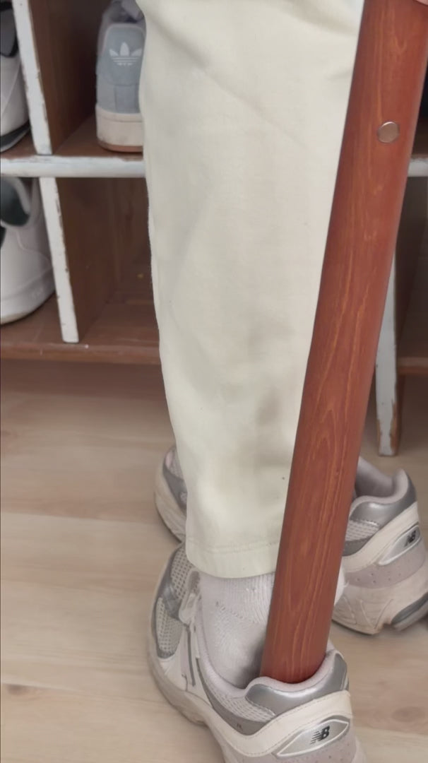 Magnetic Shoehorn