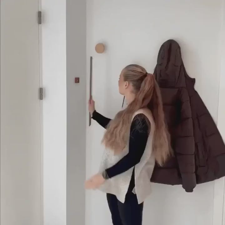 Magnetic Shoehorn
