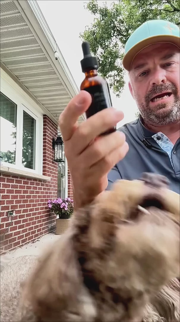 Product video