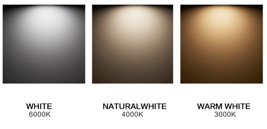 Putkisylinteriputkivalaisin