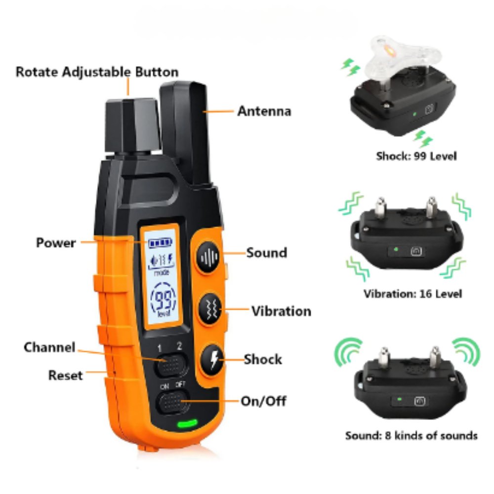 Collier d'entraînement TrailNova pour chiens et dressage