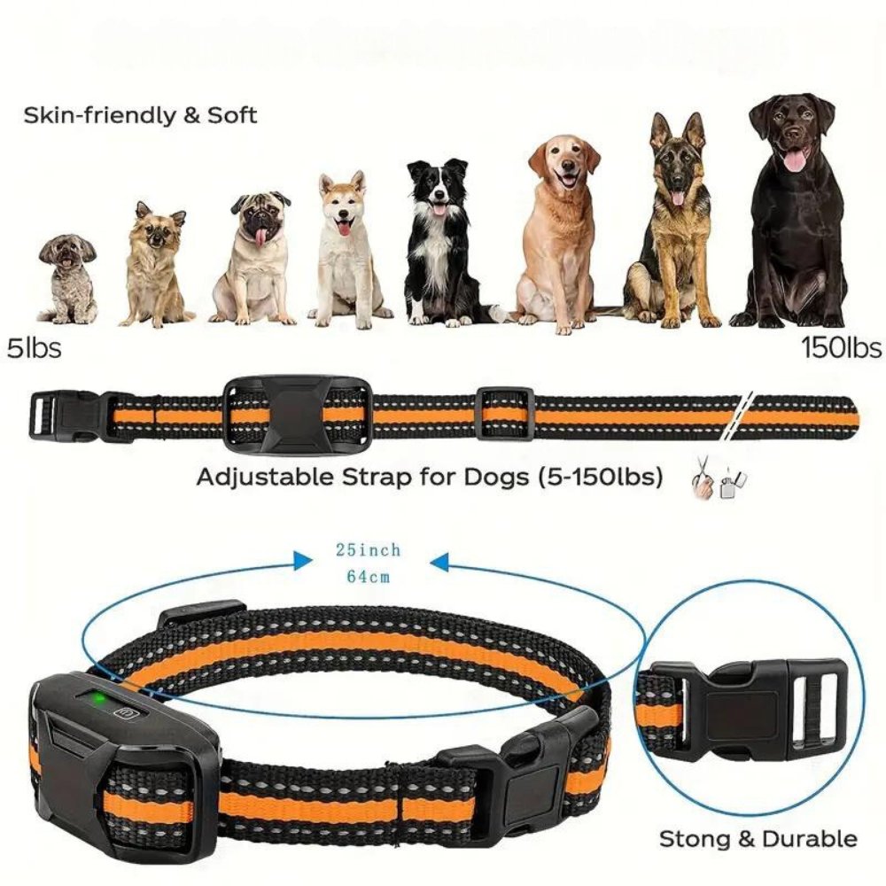 Collier d'entraînement TrailNova pour chiens et dressage