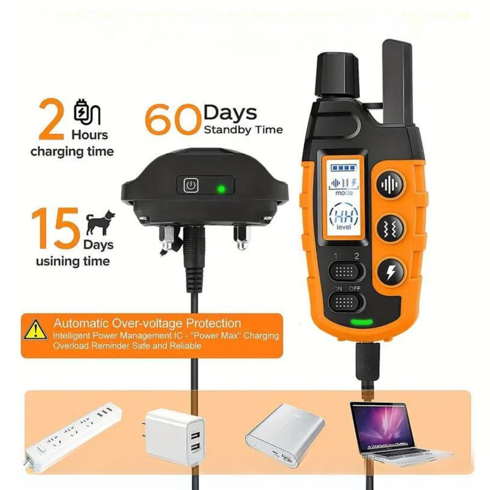 Collier d'entraînement TrailNova pour chiens et dressage