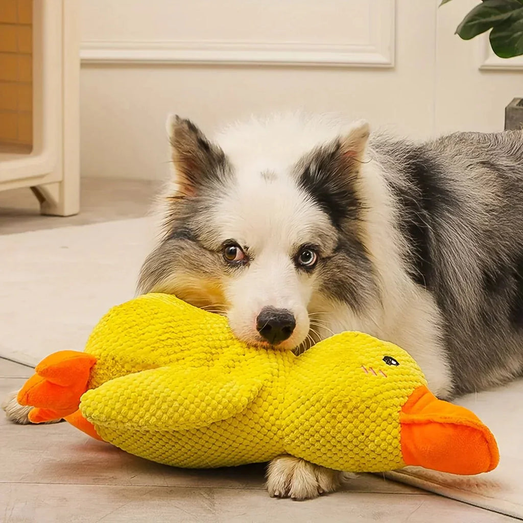 لعبة البط الهادئ CalmQuack للكلاب مع أصوات النقيق
