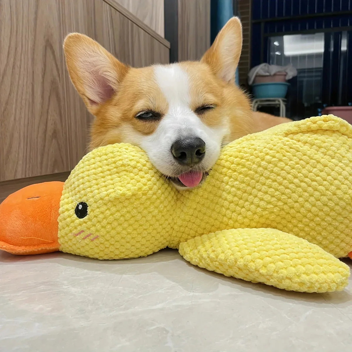 لعبة البط الهادئ CalmQuack للكلاب مع أصوات النقيق