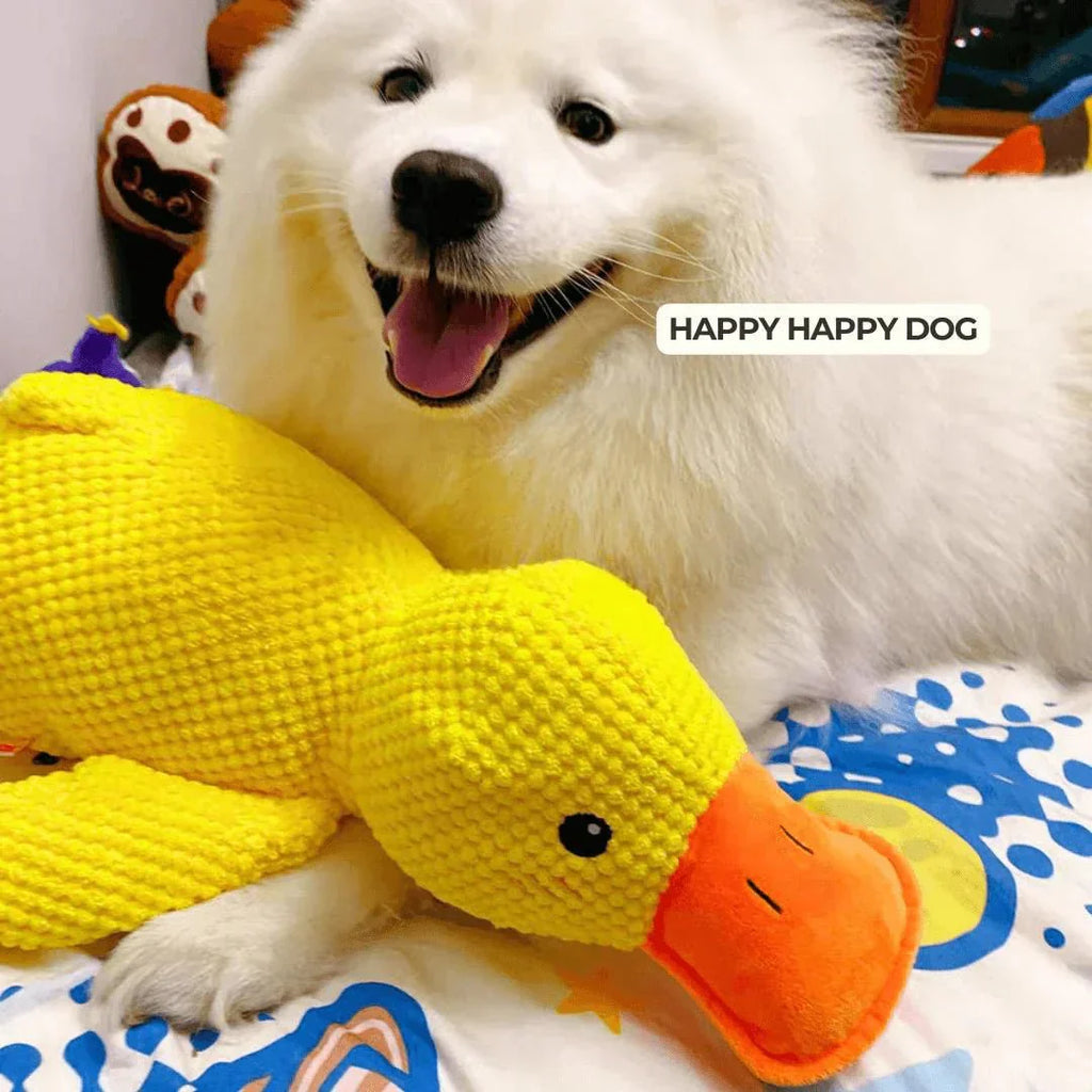 لعبة البط الهادئ CalmQuack للكلاب مع أصوات النقيق