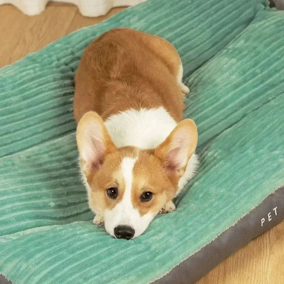 Ortopedik köpek yatağı, rahat uyku için peluş konfor sağlar